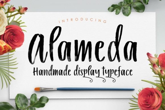 Alameda Font for Modern Web Design