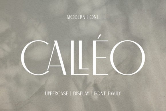 Calleo: A Minimalist Font for Elegant Branding