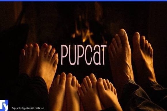 Pupcat Typeface for Playful Web Design